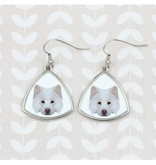 Finnish Lapphund, Finnish Lapponian Dog - earrings with a picture and the inscription geometric dog Art-Dog