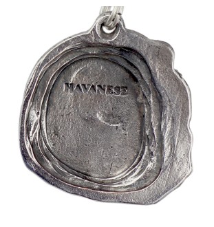 Havaneser, Bichon Havanais, Bichón Habanero - Halskette mit Hund, versilberter Anhänger für Hundefans, einzigartiger Schmuck der Marke Art-Dog