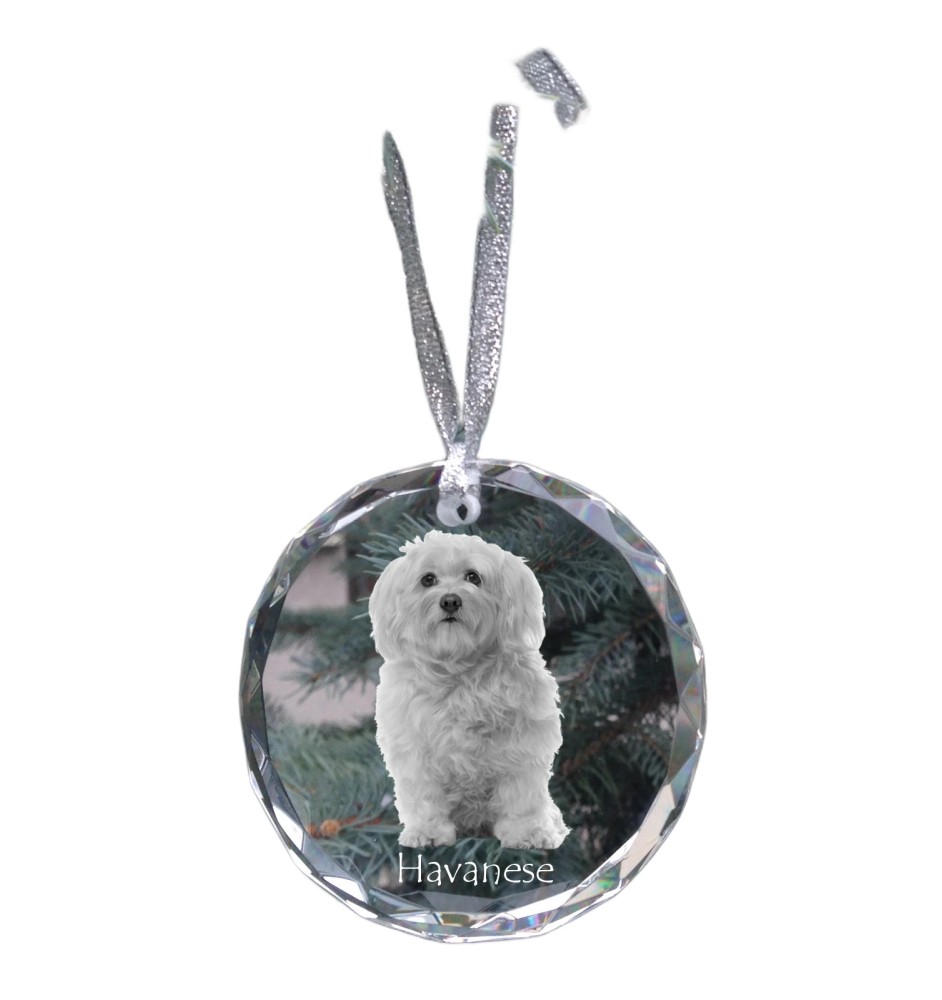 Havanese, Havanese Cuban Bichon, Bichón Havanés - crystal bauble with a photo, dog photo in crystal, personalized Christmas tree ornament by Art-Dog brand