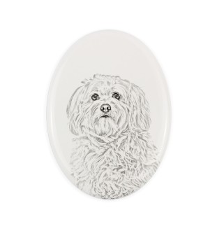 Havanese, Havanese Cuban Bichon, Bichón Havanés - commemorative plaque with a photo of a dog, tombstone with a print, personalized oval plaque from the Art-Dog brand