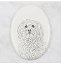 Havaneser, Bichon Havanais, Bichón Habanero - Gedenktafel mit einem Foto eines Hundes, Grabplatte mit Druck, personalisierte ovale Platte der Marke Art-Dog