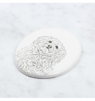 Havaneser, Bichon Havanais, Bichón Habanero - Gedenktafel mit einem Foto eines Hundes, Grabplatte mit Druck, personalisierte ovale Platte der Marke Art-Dog