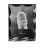Havanese, Havanese Cuban Bichon, Bichón Havanés - crystal with a picture of a dog, glass statuette with a picture, unique frame with a picture from Art-Dog brand