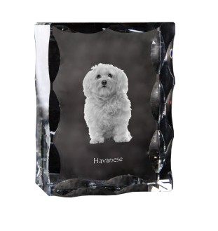 Bichon havanais - cristal avec photo de chien, statuette en verre avec photo, cadre exceptionnel avec photo de la marque Art-Dog
