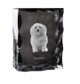 Havanese, Havanese Cuban Bichon, Bichón Havanés - crystal with a picture of a dog, glass statuette with a picture, unique frame with a picture from Art-Dog brand
