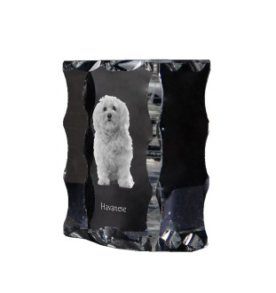 Bichon havanais - cristal avec photo de chien, statuette en verre avec photo, cadre exceptionnel avec photo de la marque Art-Dog