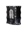 Bichon havanais - cristal avec photo de chien, statuette en verre avec photo, cadre exceptionnel avec photo de la marque Art-Dog