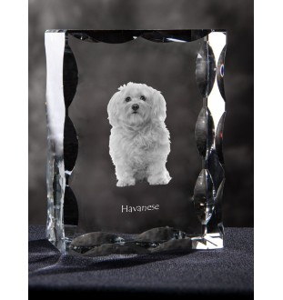 Havaneser, Bichon Havanais, Bichón Habanero - Kristall mit einem Hundebild, Glasstatuette mit einem Bild, einzigartiger Bilderrahmen der Marke Art-Dog