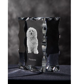 Bichon havanais - cristal avec photo de chien, statuette en verre avec photo, cadre exceptionnel avec photo de la marque Art-Dog
