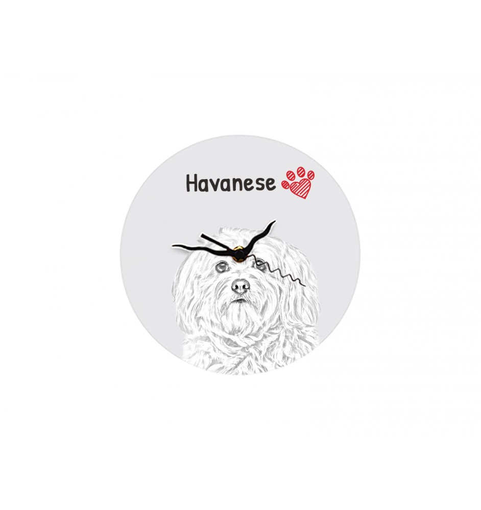 Havanese, Havanese Cuban Bichon, Bichón Havanés - wall clock with a dog, shelf clock with a print, personalized home decoration from the Art-Dog brand