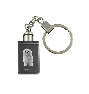 Havaneser, Bichon Havanais, Bichón Habanero - Schlüsselanhänger aus Kristall mit Hundefoto, beleuchteter Schlüsselanhänger, einzigartiges Geschenk der Marke Art-Dog
