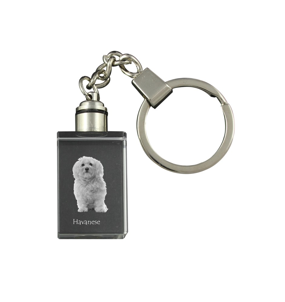 Bichon havanais - Porte-clés en cristal avec photo de chien, porte-clés lumineux, cadeau unique de la marque Art-Dog