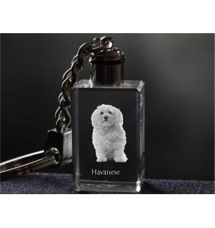Havaneser, Bichon Havanais, Bichón Habanero - Schlüsselanhänger aus Kristall mit Hundefoto, beleuchteter Schlüsselanhänger, einzigartiges Geschenk der Marke Art-Dog