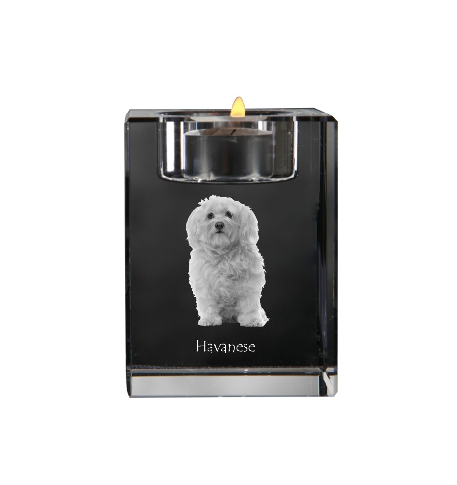 Havaneser, Bichon Havanais, Bichón Habanero - Kerzenhalter mit Hundefoto, Teelichthalter aus Kristall, personalisiertes Geschenk der Marke Art-Dog