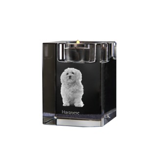 Havaneser, Bichon Havanais, Bichón Habanero - Kerzenhalter mit Hundefoto, Teelichthalter aus Kristall, personalisiertes Geschenk der Marke Art-Dog