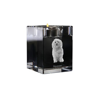 Havanese, Havanese Cuban Bichon, Bichón Havanés - Candle holder with dog photo, crystal tealight holder, personalised gift by Art-Dog brand
