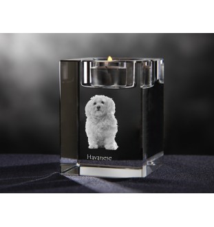 Havaneser, Bichon Havanais, Bichón Habanero - Kerzenhalter mit Hundefoto, Teelichthalter aus Kristall, personalisiertes Geschenk der Marke Art-Dog