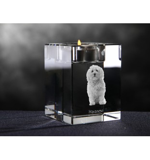 Havaneser, Bichon Havanais, Bichón Habanero - Kerzenhalter mit Hundefoto, Teelichthalter aus Kristall, personalisiertes Geschenk der Marke Art-Dog