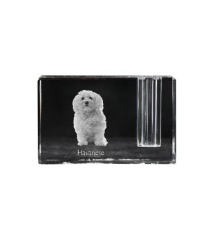 Havanese, Havanese Cuban Bichon, Bichón Havanés - Pen stand, crystal organiser with dog photo, unique desk decoration by Art-Dog brand