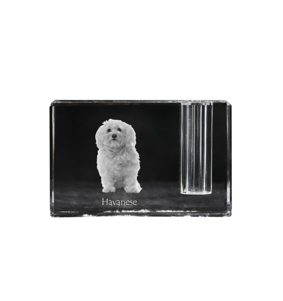 Bichon havanais - Porte-stylos, organiseur en cristal avec photo de chien, décoration de bureau unique par la marque Art-Dog