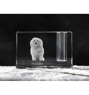 Havanese, Havanese Cuban Bichon, Bichón Havanés - Pen stand, crystal organiser with dog photo, unique desk decoration by Art-Dog brand