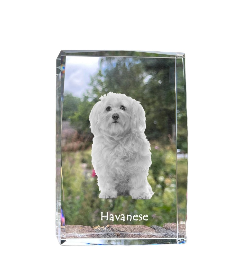 Hawańczyk kryształ z psem Art-Dog