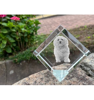 Havanese, Havanese Cuban Bichon, Bichón Havanés - crystal cube with a photo, photo of a horse in crystal, cubic paperweight from Art-Dog brand