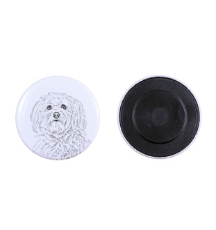 Bichon havanais - aimant avec un œil de chien, exceptionnellement léger, aimant puissant, produit fabriqué à la main par la marque Art-Dog