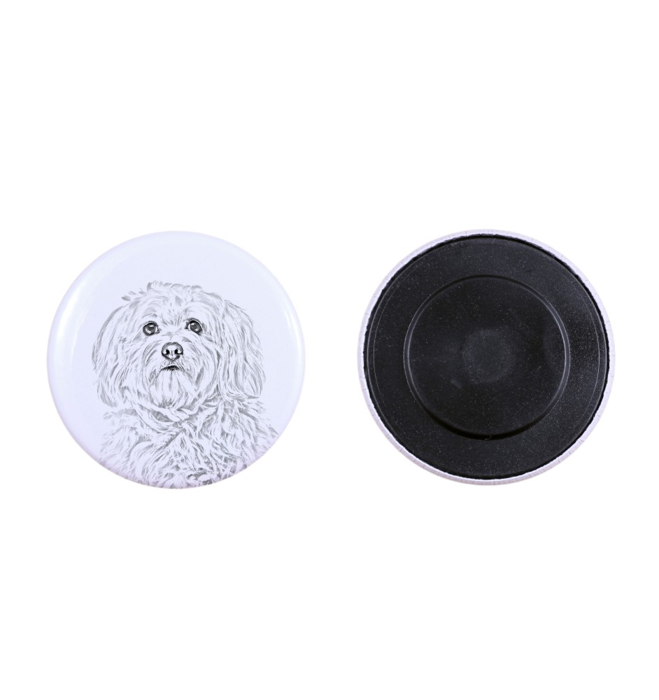 Havaneser, Bichon Havanais, Bichón Habanero Magnet mit einem Hundepfotenabdruck, außergewöhnlich leicht, starker Magnet, handgefertigtes Produkt der Marke Art-Dog