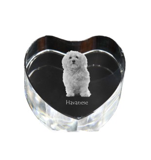 Havaneser, Bichon Havanais, Bichón Habanero - Hundebild im Kristall, Kristallherz, einzigartiger Bilderrahmen der Marke Art-Dog