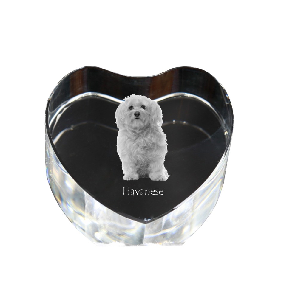 Bichon havanais - une photo de chien dans un cristal, un cœur en cristal, un cadre photo exceptionnel de la marque Art-Dog
