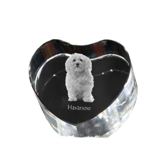 Bichon havanais - une photo de chien dans un cristal, un cœur en cristal, un cadre photo exceptionnel de la marque Art-Dog