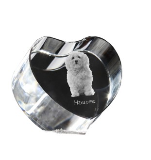Havaneser, Bichon Havanais, Bichón Habanero - Hundebild im Kristall, Kristallherz, einzigartiger Bilderrahmen der Marke Art-Dog