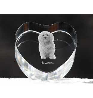 Havanese, Havanese Cuban Bichon, Bichón Havanés - a photo of a dog in crystal, crystal heart, unique photo frame from the Art-Dog brand