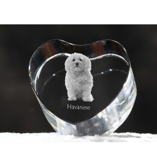 Havaneser, Bichon Havanais, Bichón Habanero - Hundebild im Kristall, Kristallherz, einzigartiger Bilderrahmen der Marke Art-Dog