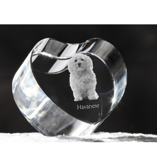 Havanese, Havanese Cuban Bichon, Bichón Havanés - a photo of a dog in crystal, crystal heart, unique photo frame from the Art-Dog brand