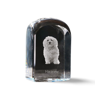 Bichon havanais - un cube de cristal avec une photo, une photo de chien dans le cristal, un presse-papiers cubique de la marque Art-Dog