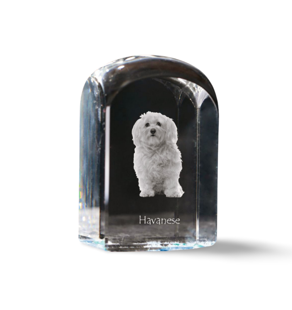 Bichon havanais - un cube de cristal avec une photo, une photo de chien dans le cristal, un presse-papiers cubique de la marque Art-Dog