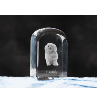 Havanese, Havanese Cuban Bichon, Bichón Havanés - crystal cube with a photo, photo of a dog in crystal, cubic paperweight from Art-Dog brand