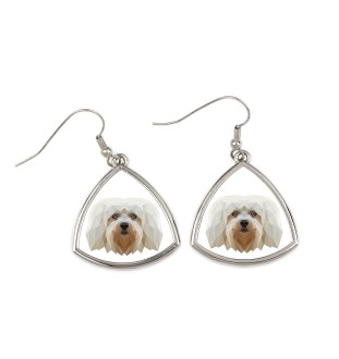 Bichon havanais - boucles d'oreilles avec une photo et un motif de chien géométrique Art-Dog