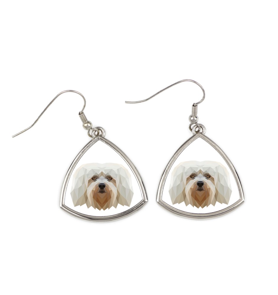 Bichon havanais - boucles d'oreilles avec une photo et un motif de chien géométrique Art-Dog