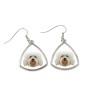 Bichon havanais - boucles d'oreilles avec une photo et un motif de chien géométrique Art-Dog