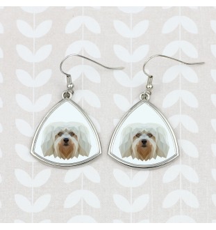 Bichon havanais - boucles d'oreilles avec une photo et un motif de chien géométrique Art-Dog