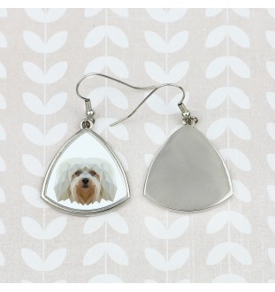 Hawańczyk kolczyki geometryczny Art-Dog