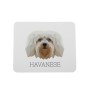 Havaneser, Bichon Havanais, Bichón Habanero - geometrisches Mauspad mit Bild und Aufschrift von Art-Dog