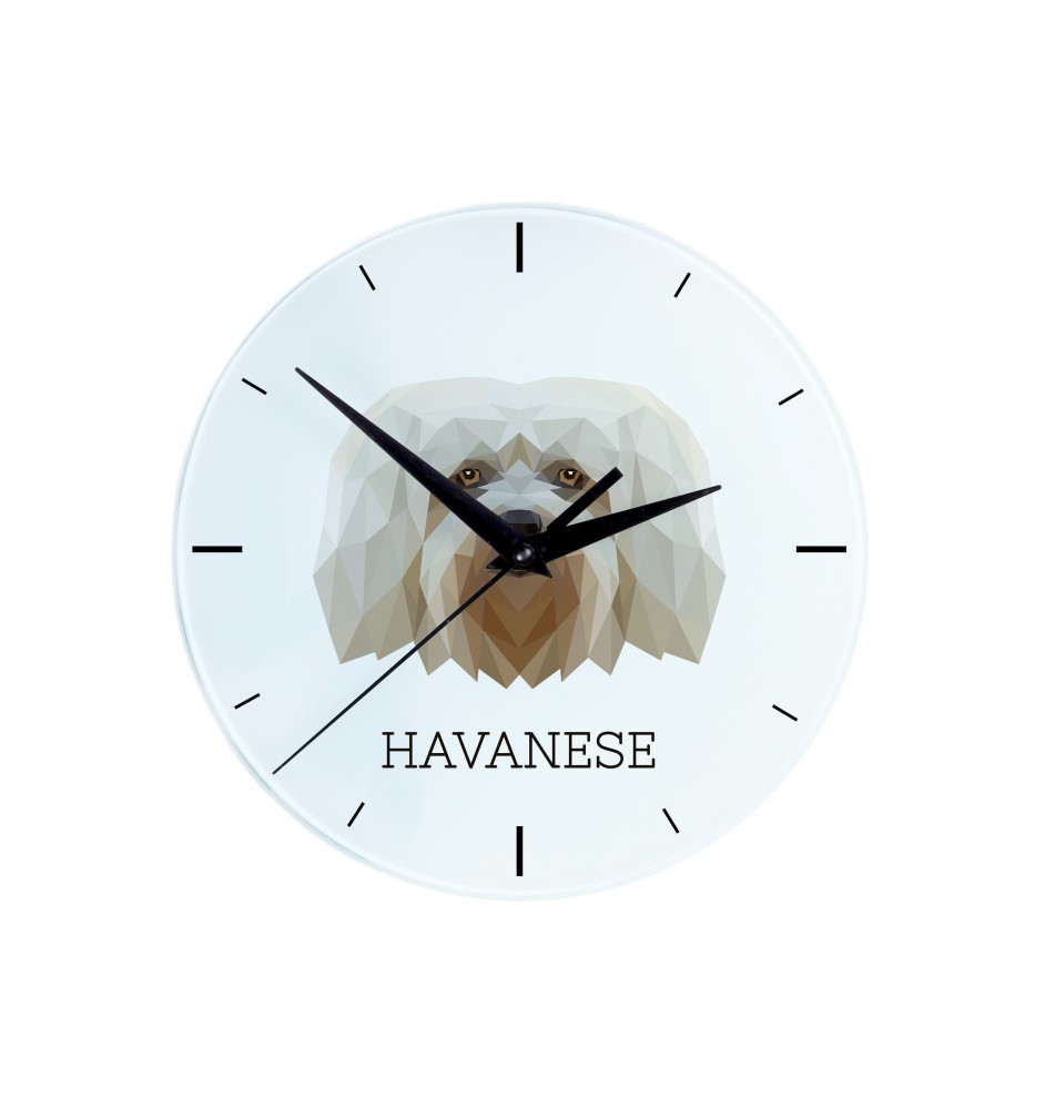 Havanese, Havanese Cuban Bichon, Bichón Havanés - geometric wall clock with a picture and the brand name Art-Dog