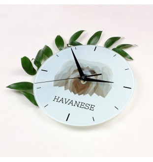 Bichon havanais - horloge murale géométrique avec photo et logo de la marque Art-Dog