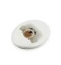 Bichon havanais - une plaque avec une photo et un motif géométrique de la marque Art-Dog