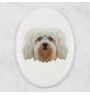 Havanese, Havanese Cuban Bichon, Bichón Havanés - a plate with a geometric design and the brand name Art-Dog
