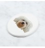 Havanese, Havanese Cuban Bichon, Bichón Havanés - a plate with a geometric design and the brand name Art-Dog